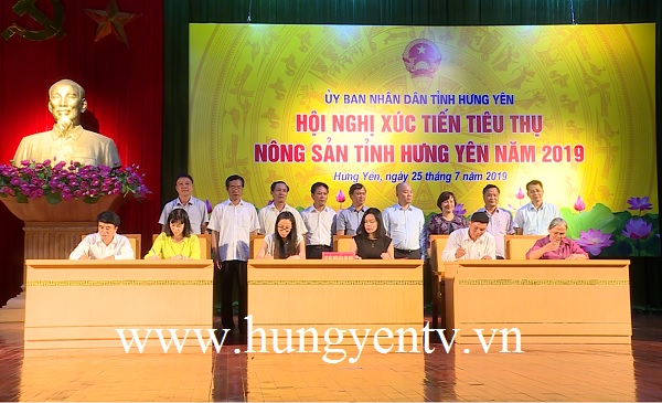   Hội nghị xúc tiến thúc đẩy tiêu thụ nhãn lồng và nông sản chủ lực của Hưng Yên